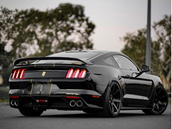 Enhanced Composites GT350 Style Rear Diffuser (15-17)