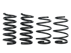Eibach Pro-Kit Magneride Lowering Springs (18-23 GT)