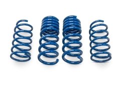 Herrod Performance S650 Lowering Spring Set (2024+)